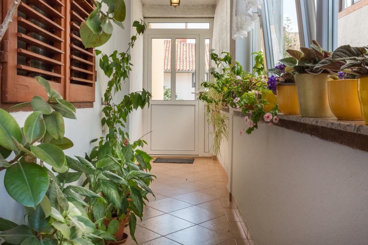 Apartment Grancaric Zadar